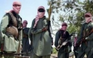 Stranded Boko Haram members turn human eaters in Borno – Suspect